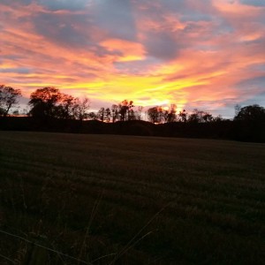 sunset, Dunkeld, Perthshire