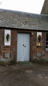 Stables Horse