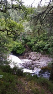 Linn of Tummel, Pitlochry