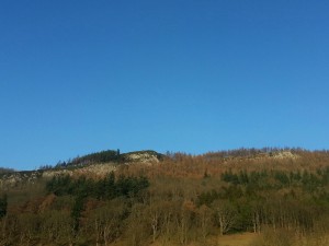 Moncreiffe Hill and Woods