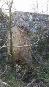 Stair Bridge, Birnam Hill