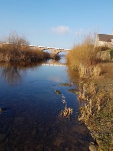 Perth Bridge (aka Smeaton's Bridge) taken from Norie-Miller Walk