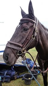 Blair Castle Horse Trials