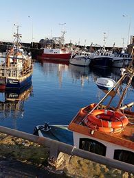 Pittenweem Harbour, East Neuk of Fife