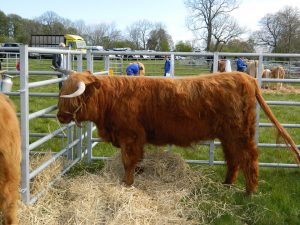 Perth Show 2018