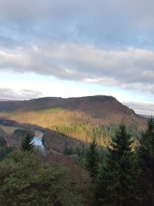 Craigvinean, Dunkeld