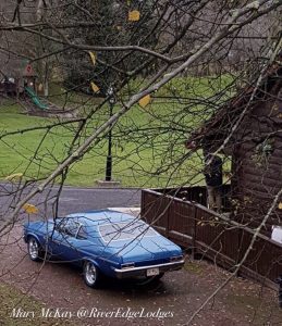 Outlander, Mustang