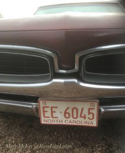 Outlander Mustang