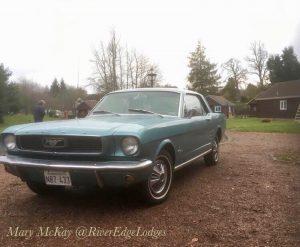 Outlander, Mustang