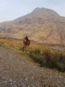 Glen Etive