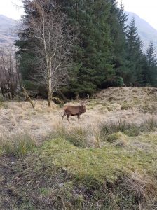 Glen Etive