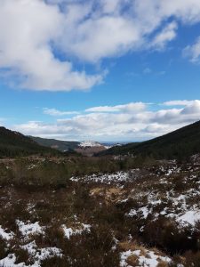 Looking back down the Glen