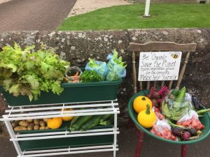 organic food grown in Bridge of Earn with Brig in Bloom and local schools