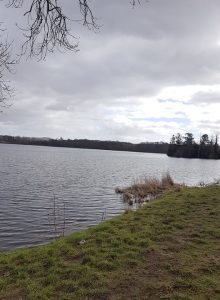 wild swimming