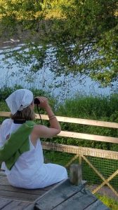 wildlife watching