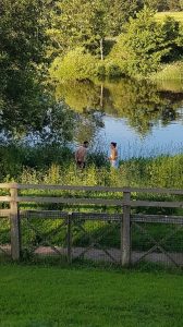 wild swimming
