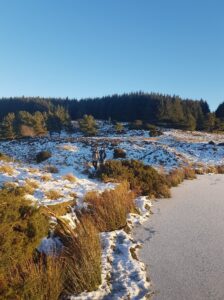 Culteuchar Loch Frozen