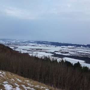 Moncreiffe Hill and Woods