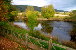 autumn