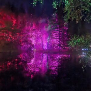 Enchanted Forest Faskally Wood Pitlochry bright pink trees reflected in the water