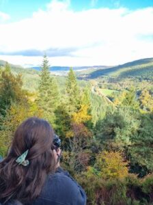 Pine Cone Point, Dunkeld