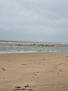Tentsmuir Forest and Kinshaldy Beach