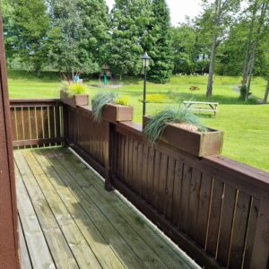 planters filled with grasses on the decking