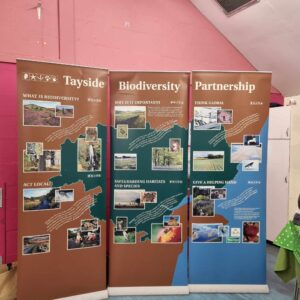 Tayside Biodiversity Partnership event poster