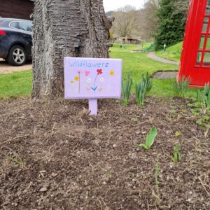 Wildflower patch all planted for the coming season