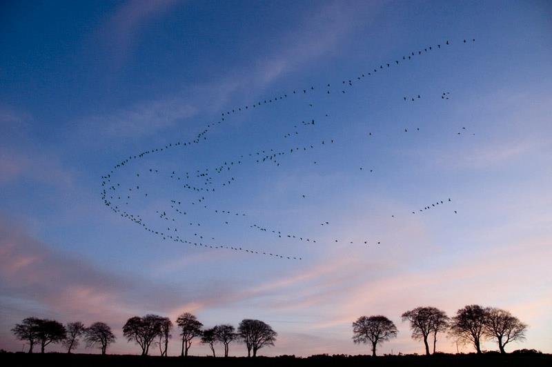 Autumn Events in Perthshire