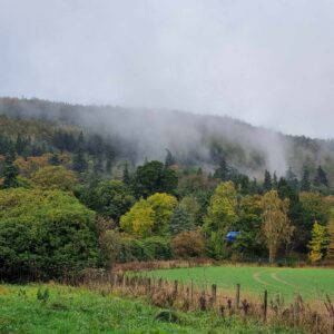 Misty Moncreiffe Hill in Autumn