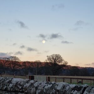 January 2026 wolf supermoon