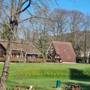 grassy park with row of daffodils with lodges behind