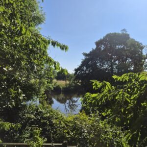 View of the River Earn from River Edge Lodges